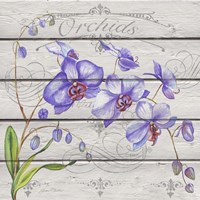 Purple Orchids Fine Art Print