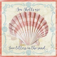 Sea Shells  -  A Fine Art Print