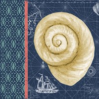 Nautical Blues  -  B Framed Print