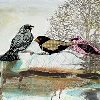 Birds Of Fire Lake  -  B Framed Print