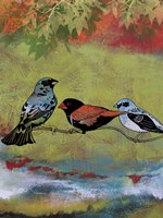 Birds In The Valley  -  B Framed Print