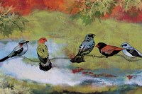Birds The Valley Fine Art Print