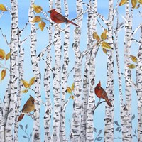 Cardinals Among The Birch  -  B Fine Art Print
