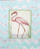 Flamingo Fine Art Print