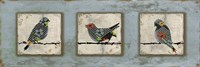 Bird Trio Fine Art Print