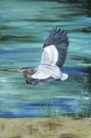 Great Blue - Heron - 3 Fine Art Print