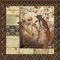 Paradise Flycatcher Collage Fine Art Print