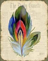 Elegant Feather - B Fine Art Print