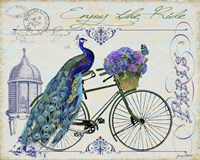 Peacock On Bicylce I Fine Art Print