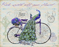 Peacock On Bicylce III Fine Art Print