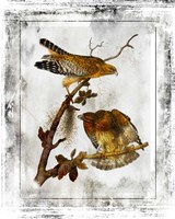 Birds With Class - F Fine Art Print