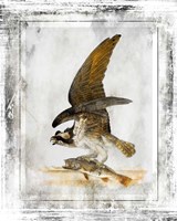 Birds With Class - G Framed Print