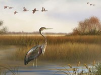 The Great Marsh - A Fine Art Print