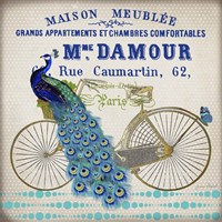 Peacock On Bicylce - D Fine Art Print