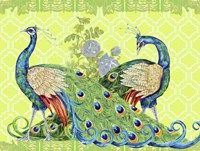 Peacock Parade Fine Art Print