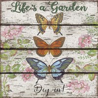 Country Garden Sign - C Framed Print