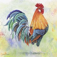 Watercolor Rooster - B Fine Art Print