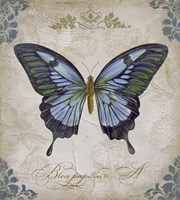 Bleu Papillon - A Fine Art Print