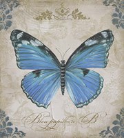 Bleu Papillon - B Fine Art Print