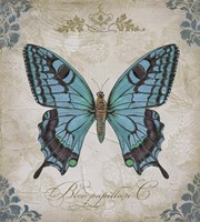 Bleu Papillon - C Fine Art Print