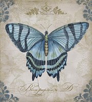 Bleu Papillon - D Fine Art Print