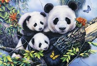 Lovely Pandas Fine Art Print