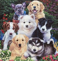 Precious Puppies Fine Art Print