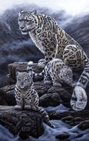 Mother & Cubs Fine Art Print