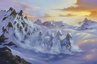 After The Storm Fine Art Print