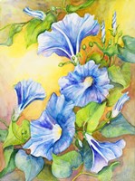 A Morning Glory Vine Fine Art Print