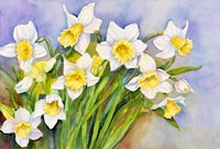 Daffodil Cluster Fine Art Print