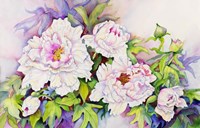 Peonies with Pink Centers Fine Art Print