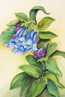 Blue Bells Fine Art Print
