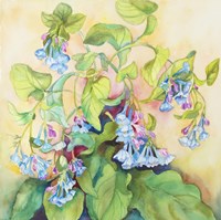 Blue Bell Cluster Fine Art Print