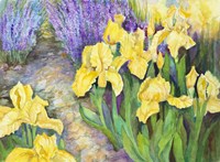 Iris in a Rock Garden Fine Art Print