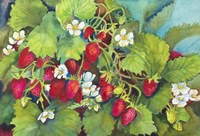 Strawberry Patch - A. Ripe on the Vine Fine Art Print