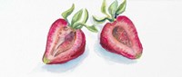 Strawberry Patch - D. Cut in Half Berry Fine Art Print