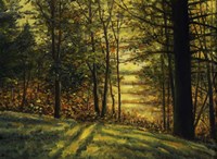 Autumn Light Fine Art Print