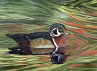 Autumn Rivals Fine Art Print