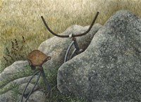 Between a Rock and a Hard Place Fine Art Print