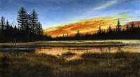 Blazing Quietude Fine Art Print