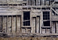 Dust to Dust Fine Art Print