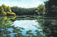 Early Morning Rise Fine Art Print