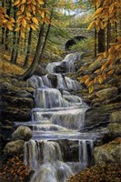 Falling Water Fine Art Print