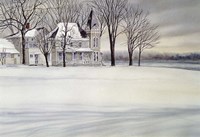 Iron House Fine Art Print