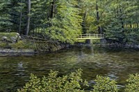 IVY BRIDGE Fine Art Print