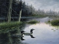 Misty Morn Fine Art Print