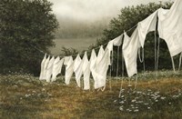 Morning Whites Fine Art Print