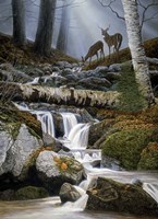 October Morning Fine Art Print