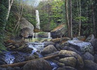 Ozone Falls Fine Art Print